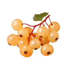 Sticker - Isolated fruits with clipping path identified as Carissa carandas Linn or Bengal currants