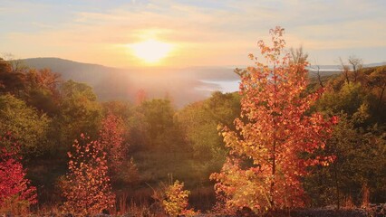 Wall Mural - Arkansas ozark mountain scenic overlook in autumn with fall colored forest via aerial viewpoint