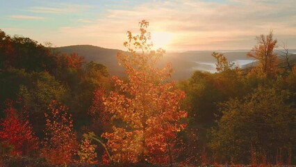 Wall Mural - Beautiful Arkansas ozark mountain scenic overlook in fall with autumn colored forest and maple trees with sunlight