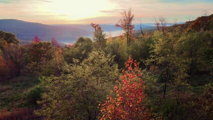 Wall Mural - Aerial of Arkansas ozark mountain scenic forest in fall with autumn colored trees and woods at sunrise