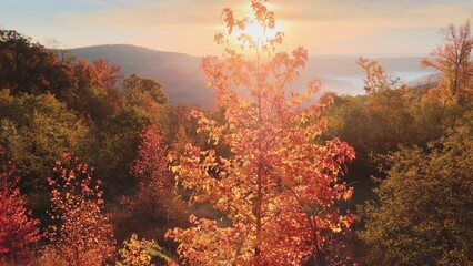 Wall Mural - Amazing Arkansas ozark mountain scenic overlook in fall with autumn colored forest via aerial viewpoint at sunrise