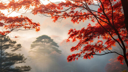 Poster - 紅葉と山