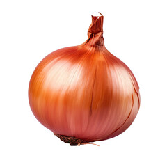 Canvas Print - Onion in transparent background