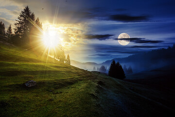 Wall Mural - fir trees on meadow between hillsides with conifer forest in fog with sun and moon at twilight. day 