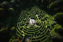Inside a green maze aerial view.