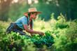 © Slava - Farmer woman working in the vegetable garden. selective focus.