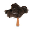 Feather duster with wooden handle, ostrich feathers, isolated
