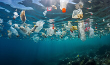 Trash Plastics Dump Under Water , Water Pollution 