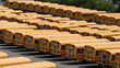 Many School buses in a parking lot. Greater Sudbury, ON, Canada, Ontario, on July 23, 2023. 