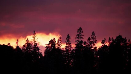 Wall Mural - Cinematic View Of Red Sky With Passing Dark Clouds Over Tree Forest Silhouettes. Timelapse