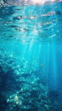Deep Sea In Shallow Water, Tropical Ocean Colors. Vertical Abstract Background Of Deep Sea And Shallow Water, Underwater Shooting