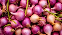 Fresh Red Onions Full Background