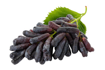 Wall Mural - Sweet black sapphire grapes on an alpha background