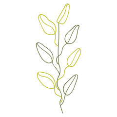 Sticker - Plant leaves illustration