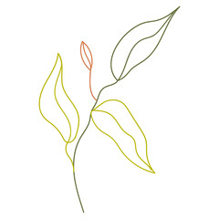 Sticker - Plant leaves illustration