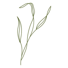 Sticker - Plant leaves illustration