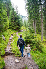 Tourists walking in alpine forest on summer day. Hikers traveler hikking with beautiful forest landscape, Dolomites, Italy