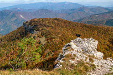 Wall Mural - Black raven bird on the rock on top of the hill with beautiful mountain landscape