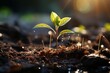 Soils nurturing embrace, close-up reveals a young plants journey towards sunlight Generative AI