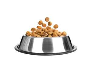 Dry food for dogs and cats in an iron bowl on a white background 