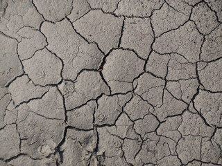 Aufkleber - Dry cracked earth. Gray background with cracks.