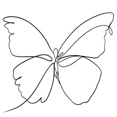 Canvas Print - Butterfly line art