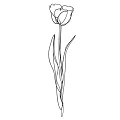 Sticker - Tulip flower line art