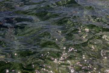 Wall Mural - Transparent sea water as an abstract background. Waves of sea water. Selective focus