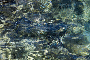 Wall Mural - Transparent sea water as an abstract background. Waves of sea water. Selective focus