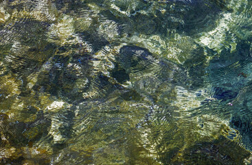 Wall Mural - Transparent sea water as an abstract background. Waves of sea water. Selective focus