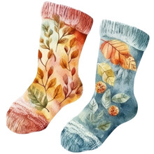 Fall Pair Of Socks With Leaves, Red And Blue Autumn Watercolor Fashion Illustration Isolated With A Transparent Background, Clothes Design Graphic Resource