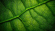 macro of green leaves It's a beautiful surface pattern. There are stripes on the surface of the leaves that are beautiful and are Pattern created by AI