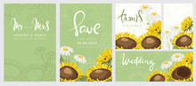 Wedding Invitations For Late Summer Or Fall. Set Of Vector Backgrounds With Sunflowers And Chamomile. Handwritten Calligraphy Title.