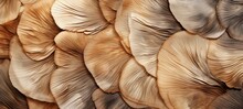 Abstract Organic Natural Beige Brown Color Waving Lines Mushroom Texture Background Banner Illustration Wallpaper Backdrop For Webdesign (Generative Ai)