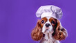 Leinwandbild Motiv Spaniel in a chef's hat on an purple background, place for your text, banner.