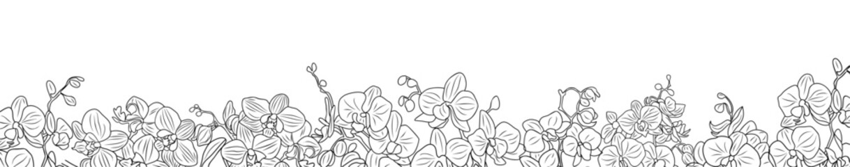 Horizontal banner, floral border, frame, overlay, backdrop decorated with gorgeous orchid blooming flowers. Botanical monochrome ink sketch style illustration isolated on transparent background. 