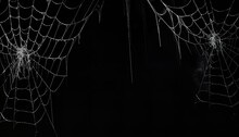 Halloween Spider Web Dark Scary Wallpaper Png