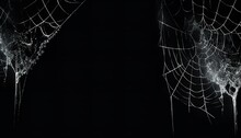 Halloween Spider Web Dark Scary Wallpaper Png