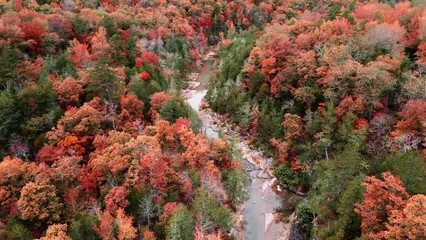 Wall Mural - Aerial drone flying over winding river in Arkansas ozark mountains during autumn with fall colored forest leaves