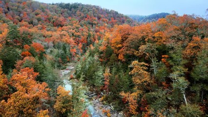 Wall Mural - Aerial drone flying over misty Arkansas, ozark mountains and river in autumn with fall colored forest leaves