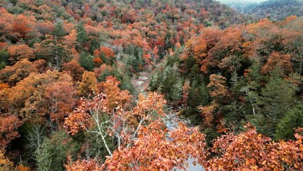 Wall Mural - Aerial drone flying over foggy Arkansas, ozark mountains and river in autumn with fall colored forest leaves