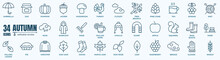 Set Of Autumn Nature Icons. Simple Line Art Style Icons Pack. Vector Illustration