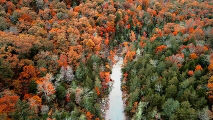 Wall Mural - Aerial drone flying over Arkansas ozark mountain river in autumn with fall colored forest leaves