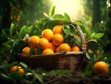 A Basket Filled With Orange In The Forest With Ambient Lighting.