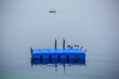 Two seagulls sit on a swimming platform on a rainy spring day in the bay at Sumartin on Brac Island, Croatia
