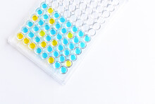 Enzyme-linked Immunosorbent Assay Or ELISA Plate, Immunology Testing Method In Medical Laboratory