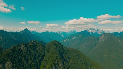 Wall Mural - Aerial video of the rocky high mountains covered with trees on a sunny day