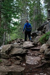 Poster - Person is trekking down a rugged trail surrounded by lush green trees in a forested area