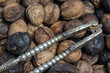 Harvesting organic walnuts. overlay shot of fresh nuts with vintage nutcracker