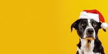 Dog With Santa Claus Hat Isolated On Yellow Background, Little Dog With Red Hat, Generative AI